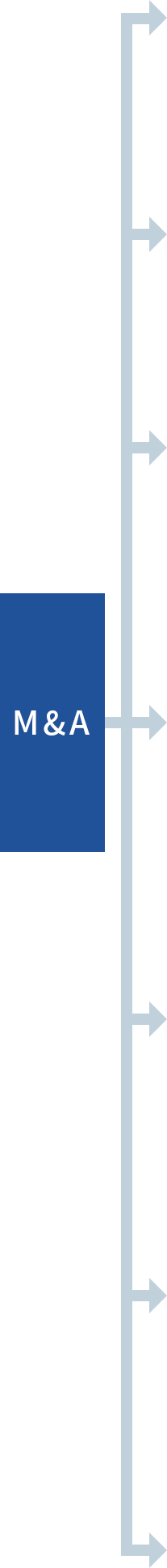 M&A